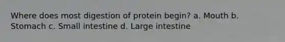 Where does most digestion of protein begin? a. Mouth b. Stomach c. Small intestine d. Large intestine