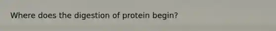 Where does the digestion of protein begin?