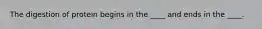 The digestion of protein begins in the ____ and ends in the ____.
