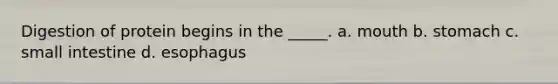 Digestion of protein begins in the _____. a. mouth b. stomach c. small intestine d. esophagus