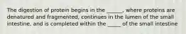 The digestion of protein begins in the ______, where proteins are denatured and fragmented, continues in the lumen of the small intestine, and is completed within the _____ of the small intestine