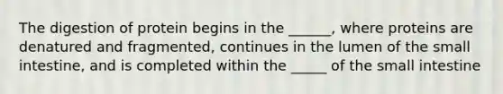 The digestion of protein begins in the ______, where proteins are denatured and fragmented, continues in the lumen of the small intestine, and is completed within the _____ of the small intestine