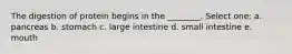 The digestion of protein begins in the ________. Select one: a. pancreas b. stomach c. large intestine d. small intestine e. mouth