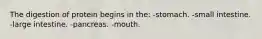 The digestion of protein begins in the: -stomach. -small intestine. -large intestine. -pancreas. -mouth.