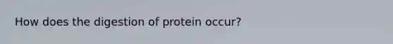 How does the digestion of protein occur?