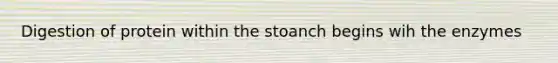 Digestion of protein within the stoanch begins wih the enzymes