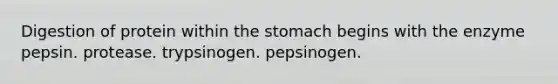 Digestion of protein within the stomach begins with the enzyme pepsin. protease. trypsinogen. pepsinogen.