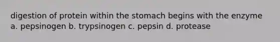 digestion of protein within the stomach begins with the enzyme a. pepsinogen b. trypsinogen c. pepsin d. protease