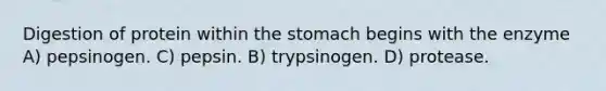 Digestion of protein within the stomach begins with the enzyme A) pepsinogen. C) pepsin. B) trypsinogen. D) protease.