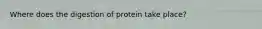 Where does the digestion of protein take place?