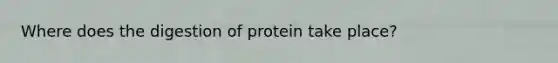 Where does the digestion of protein take place?