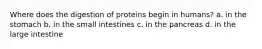 Where does the digestion of proteins begin in humans? a. in the stomach b. in the small intestines c. in the pancreas d. in the large intestine