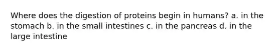 Where does the digestion of proteins begin in humans? a. in the stomach b. in the small intestines c. in the pancreas d. in the large intestine