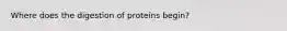 Where does the digestion of proteins begin?