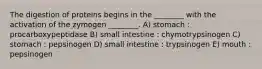 The digestion of proteins begins in the ________ with the activation of the zymogen ________. A) stomach : procarboxypeptidase B) small intestine : chymotrypsinogen C) stomach : pepsinogen D) small intestine : trypsinogen E) mouth : pepsinogen