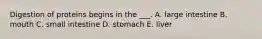 Digestion of proteins begins in the ___. A. large intestine B. mouth C. small intestine D. stomach E. liver