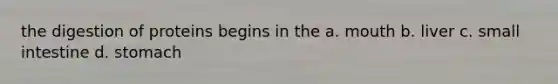 the digestion of proteins begins in the a. mouth b. liver c. small intestine d. stomach
