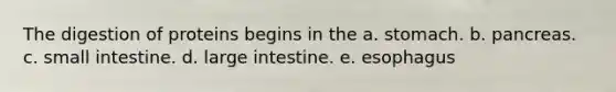 The digestion of proteins begins in the a. stomach. b. pancreas. c. small intestine. d. large intestine. e. esophagus