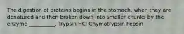 The digestion of proteins begins in the stomach, when they are denatured and then broken down into smaller chunks by the enzyme __________. Trypsin HCl Chymotrypsin Pepsin