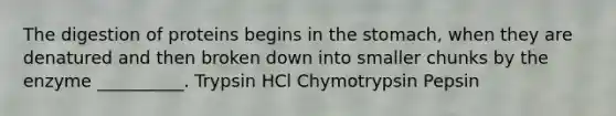 The digestion of proteins begins in <a href='https://www.questionai.com/knowledge/kLccSGjkt8-the-stomach' class='anchor-knowledge'>the stomach</a>, when they are denatured and then broken down into smaller chunks by the enzyme __________. Trypsin HCl Chymotrypsin Pepsin