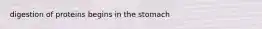 digestion of proteins begins in the stomach
