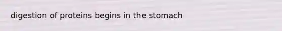 digestion of proteins begins in the stomach