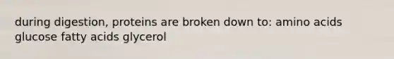 during digestion, proteins are broken down to: amino acids glucose fatty acids glycerol