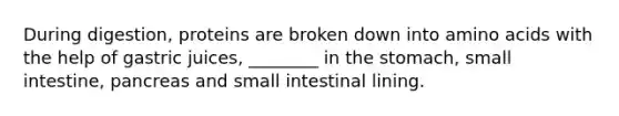 During digestion, proteins are broken down into amino acids with the help of gastric juices, ________ in the stomach, small intestine, pancreas and small intestinal lining.