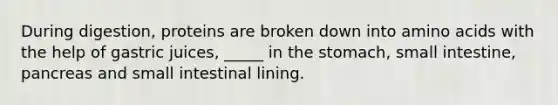 During digestion, proteins are broken down into amino acids with the help of gastric juices, _____ in the stomach, small intestine, pancreas and small intestinal lining.