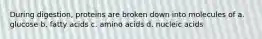 During digestion, proteins are broken down into molecules of a. glucose b. fatty acids c. amino acids d. nucleic acids