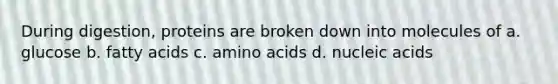 During digestion, proteins are broken down into molecules of a. glucose b. fatty acids c. <a href='https://www.questionai.com/knowledge/k9gb720LCl-amino-acids' class='anchor-knowledge'>amino acids</a> d. nucleic acids