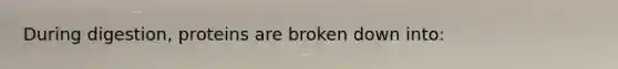 During​ digestion, proteins are broken down​ into:
