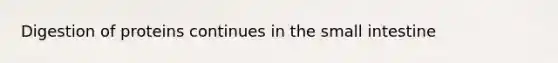 Digestion of proteins continues in the small intestine