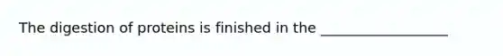 The digestion of proteins is finished in the __________________