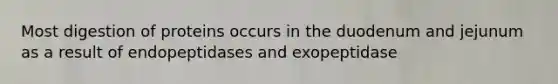 Most digestion of proteins occurs in the duodenum and jejunum as a result of endopeptidases and exopeptidase