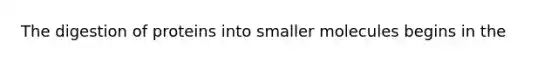 The digestion of proteins into smaller molecules begins in the