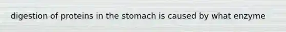 digestion of proteins in the stomach is caused by what enzyme