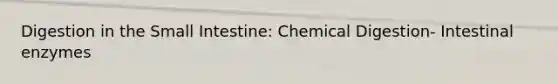 Digestion in the Small Intestine: Chemical Digestion- Intestinal enzymes