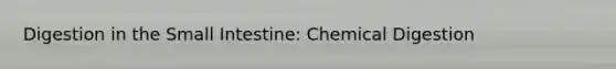 Digestion in the Small Intestine: Chemical Digestion