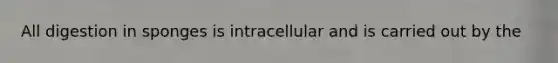 All digestion in sponges is intracellular and is carried out by the