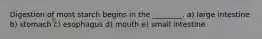 Digestion of most starch begins in the ________. a) large intestine b) stomach c) esophagus d) mouth e) small intestine