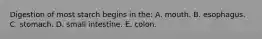 Digestion of most starch begins in the:​ A. mouth.​ B. ​esophagus. C. ​stomach. D. ​small intestine. E. ​colon.
