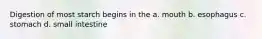 Digestion of most starch begins in the a. mouth b. esophagus c. stomach d. small intestine