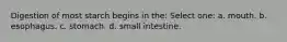 Digestion of most starch begins in the: Select one: a. mouth. b. esophagus. c. stomach. d. small intestine.