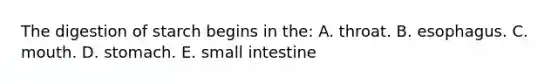 The digestion of starch begins in the: A. throat. B. esophagus. C. mouth. D. stomach. E. small intestine