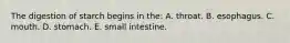 The digestion of starch begins in the: A. throat. B. esophagus. C. mouth. D. stomach. E. small intestine.