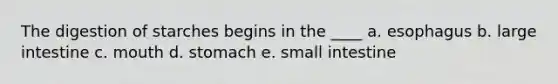 The digestion of starches begins in the ____ a. esophagus b. large intestine c. mouth d. stomach e. small intestine