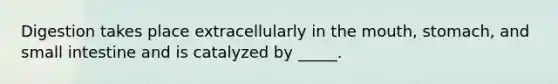 Digestion takes place extracellularly in the mouth, stomach, and small intestine and is catalyzed by _____.