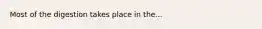 Most of the digestion takes place in the...