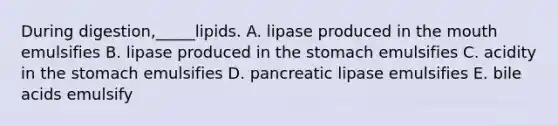 During digestion,_____lipids. A. lipase produced in the mouth emulsifies B. lipase produced in the stomach emulsifies C. acidity in the stomach emulsifies D. pancreatic lipase emulsifies E. bile acids emulsify